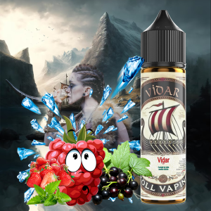 Vidar